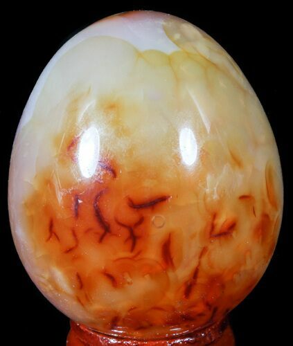 Colorful Carnelian Agate Egg #55519